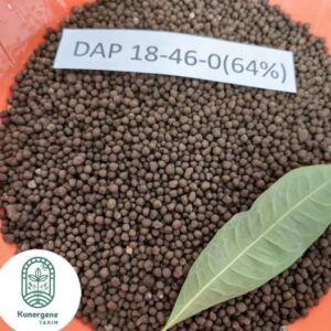 DAP 18-46-0 Amonyum Fosfat Gübre (GÜNCEL FİYAT SORUNUZ)