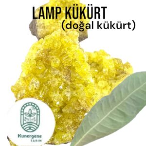 Doğal Kükürt (lamp)