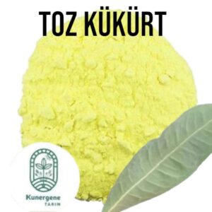 Toz Kükürt